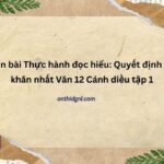 Soạn bài Thực hành đọc hiểu Quyết định khó khăn nhất Văn 12 Cánh diều tập 1