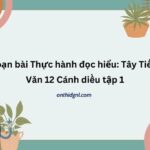 Soạn bài Thực hành đọc hiểu Tây Tiến Văn 12 Cánh diều tập 1