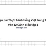 Soạn bài Thực hành tiếng Việt trang 100 Văn 12 Cánh diều tập 1