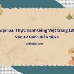 Soạn bài Thực hành tiếng Việt trang 126 Văn 12 Cánh diều tập 1