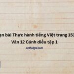 Soạn bài Thực hành tiếng Việt trang 151 Văn 12 Cánh diều tập 1