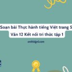 Soạn bài Thực hành tiếng Việt trang 51 Văn 12 Kết nối tri thức tập 1