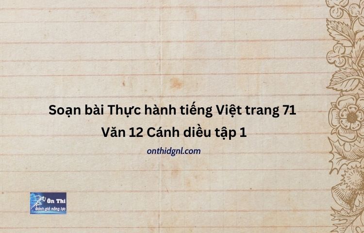 Soạn bài Thực hành tiếng Việt trang 71 Văn 12 Cánh diều tập 1