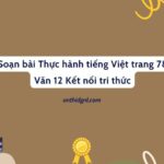 Soạn bài Thực hành tiếng Việt trang 78 Văn 12 Kết nối tri thức