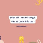 Soạn bài Thực thi công lí Văn 12 Cánh diều tập 1