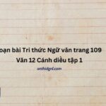 Soạn bài Tri thức Ngữ văn trang 109 Văn 12 Cánh diều tập 1