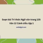 Soạn bài Tri thức Ngữ văn trang 135 Văn 12 Cánh diều tập 1