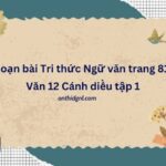 Soạn bài Tri thức Ngữ văn trang 81 Văn 12 Cánh diều tập 1