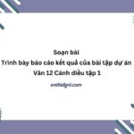 Soạn bài Trình bày báo cáo kết quả của bài tập dự án Văn 12 Cánh diều tập 1