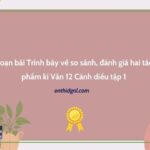 Soạn bài Trình bày về so sánh đánh giá hai tác phẩm kí Văn 12 Cánh diều tập 1