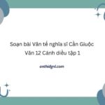 Soạn bài Văn tế nghĩa sĩ Cần Giuộc Văn 12 Cánh diều tập 1