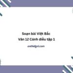 Soạn bài Việt Bắc Văn 12 Cánh diều tập 1