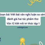 Soạn bài Viết bài văn nghị luận so sánh, đánh giá hai tác phẩm thơ Văn 12 Kết nối tri thức tập 1