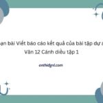 Soạn bài Viết báo cáo kết quả của bài tập dự án Văn 12 Cánh diều tập 1