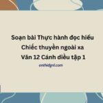 Soạn bài Thực hành đọc hiểu Chiếc thuyền ngoài xa Văn 12 Cánh diều tập 1