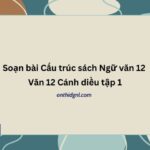 Soạn bài Cấu trúc sách Ngữ văn 12 Văn 12 Cánh diều tập 1