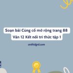 Soạn bài Củng cố mở rộng trang 88 Văn 12 Kết nối tri thức tập 1