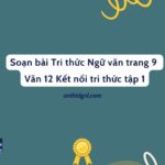 Soạn bài Tri thức ngữ văn trang 9 Văn 12 Kết nối tri thức tập 1