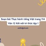 Soạn bài Thực hành tiếng Việt trang 114 Văn 12 Kết nối tri thức tập 1