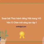 Soạn bài Thực hành tiếng Việt trang 143 Văn 12 Chân trời sáng tạo tập 1