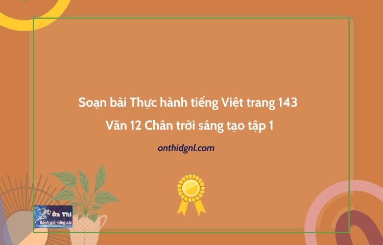 Soạn bài Thực hành tiếng Việt trang 143 Văn 12 Chân trời sáng tạo tập 1