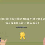 Soạn bài Thực hành tiếng Việt trang 26 Văn 12 Kết nối tri thức tập 1