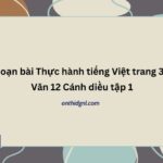 Soạn bài Thực hành tiếng Việt trang 33 Văn 12 Cánh diều tập 1