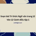 Soạn bài Tri thức Ngữ văn trang 12 Văn 12 Cánh diều tập 1