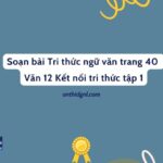 Soạn bài Tri thức ngữ văn trang 40 Văn 12 Kết nối tri thức tập 1