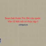 Soạn bài Xuân Tóc Đỏ cứu quốc Văn 12 Kết nối tri thức tập 1