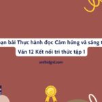 Soạn bài Thực hành đọc Cảm hứng và sáng tạo Văn 12 Kết nối tri thức tập 1