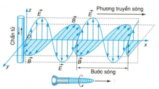 Sự lan truyền tương tác điện từ