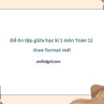 Đề ôn Tập Giữa Học Kì 1 Môn Toán 11 Theo Format Mới