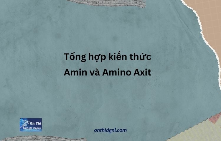 Kiến Thức Amin Và Amino Axit