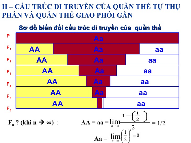 Cấu trúc di truyền của quần thể tự thụ phấn