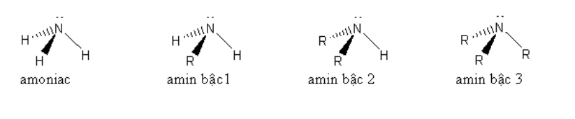 Kiến thức Amin và Amino Axit