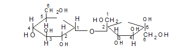 Kiến thức về Cacbonhidrat