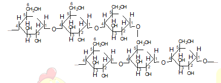 Kiến thức về Cacbonhidrat