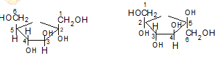 Kiến thức về Cacbonhidrat