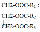 Kiến thức về Lipit