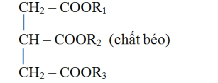 công thức cấu tạo của lipit - lipit hóa 12