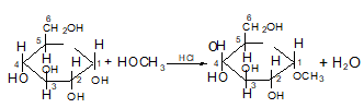 Kiến thức về Cacbonhidrat