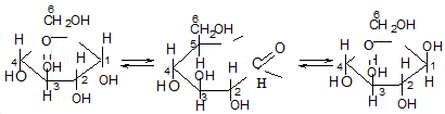 Kiến thức về Cacbonhidrat