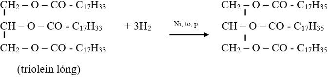 Kiến thức về Lipit