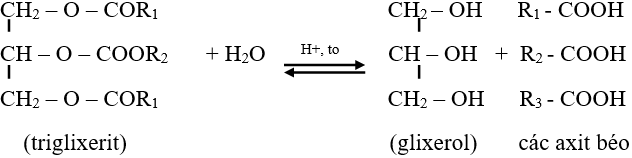 Kiến thức về Lipit