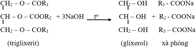 Kiến thức về Lipit