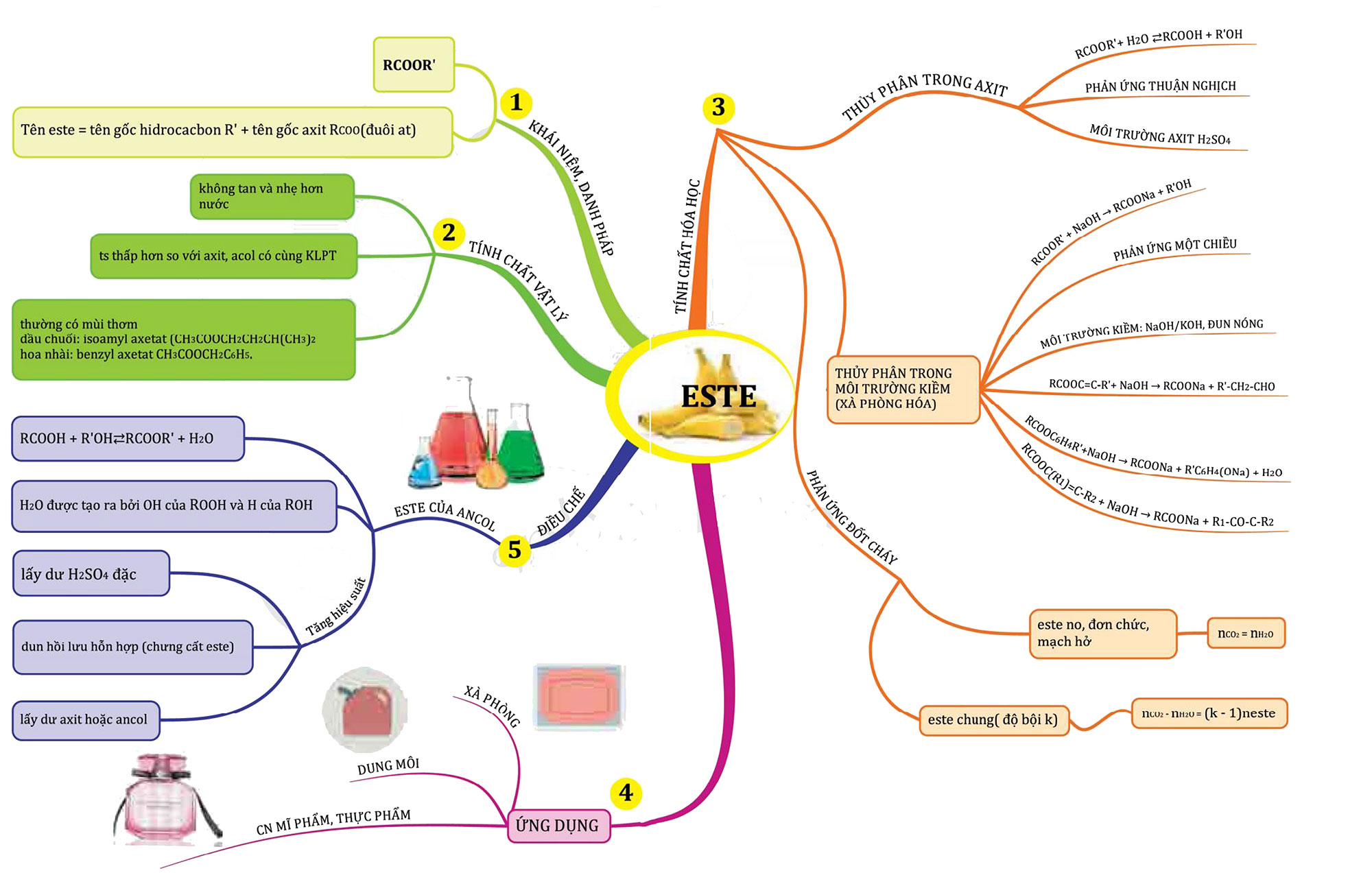 Sơ đồ tư duy Ester: