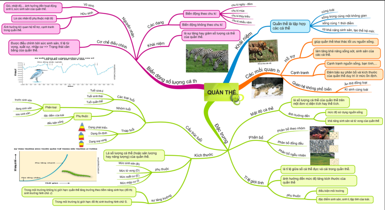 Sơ đồ tư duy quần xã sinh vật
