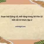 Soạn Bài Củng Cố, Mở Rộng Trang 58 Văn 12 Kết Nối Tri Thức Tập 2