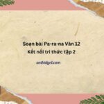 Soạn Bài Pa Ra Na Văn 12 Kết Nối Tri Thức Tập 2